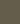 Mudskipper - C2-886 - Color