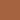 Tortoise - C2-616 - Color